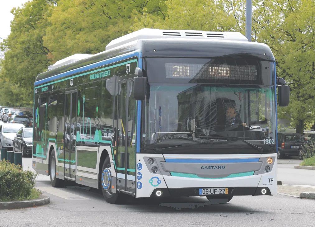 História 2007